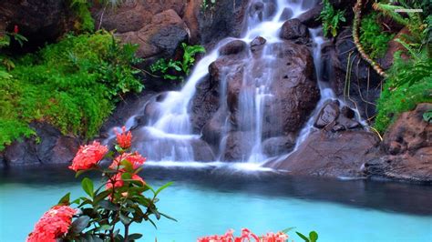 Beautiful Waterfall And Pink Flowers Free Hd For Desktop Hd Wallpaper