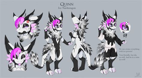 Quinn Reference Sheet By Koohawkz Fur Affinity Dot Net