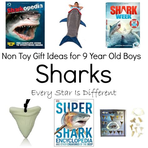 I love giving experience gifts because it allows children to try something they may want to persue seriously later without pressure or a lot of expense on your part. Non Toy Gift Ideas for 9 Year Old Boys - Every Star Is ...
