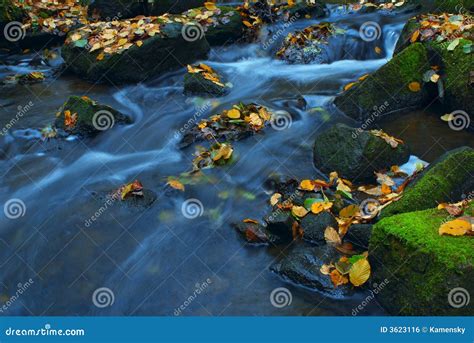 Picturesque River In Autumn Stock Photo Image Of Colourful Peaceful