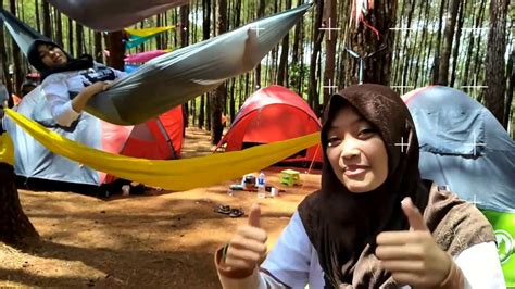 Camping Di Puncak Becici Hutan Pinus Yogyakarta YouTube