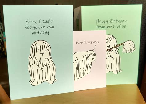 Funny Animal Birthday Cards Smug Toad