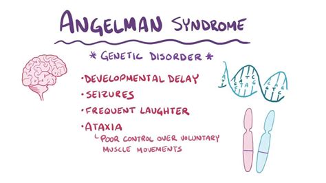 Angelman Syndrome Video Anatomy And Definition Osmosis