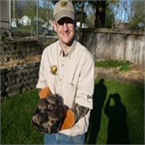 Balance of nature provides professional pest control for all of spring lake heights, nj. Michigan Raccoon Animal Control, Raccoon removal from ...