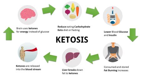 What Is Ketosis And Keto Diet