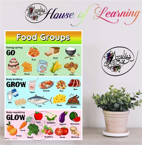 Food Groups Go Grow Glow Laminated Educational Chart A4 Wall Charts