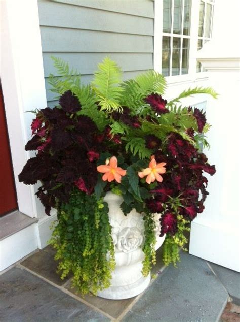Spice Up Every Season With Containers Container Flowers