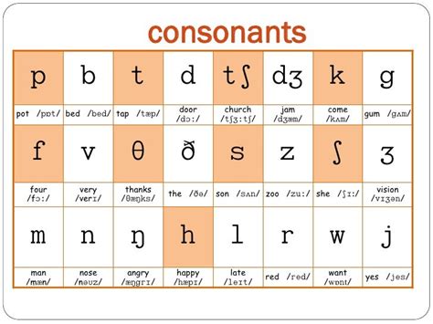 Phonetics Consonants