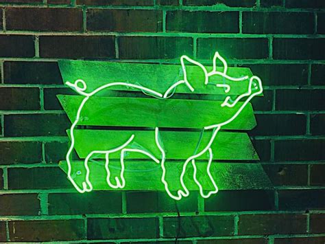 Some Pig Neon Signs Neon Neon Green