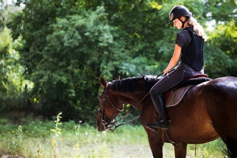 Physical And Mental Health Benefits Of Horseback Riding