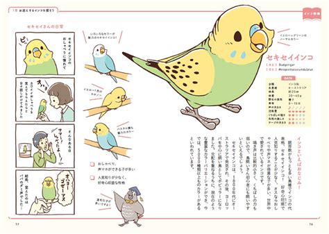 Google has many special features to help you find exactly what you're looking for. BIRDSTORYのインコの飼い方図鑑｜BIRDSTORY