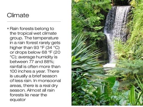 Location Of Tropical Rainforest Biome Tropical Rainforest Tropical