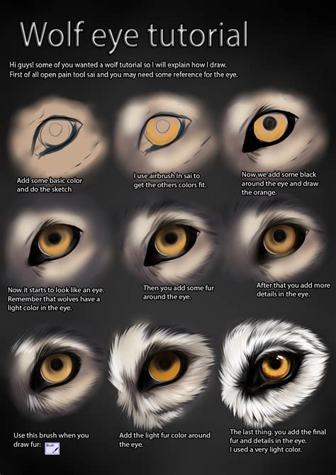 Wolf Eye Tutorial By Themysticwolf On Deviantart