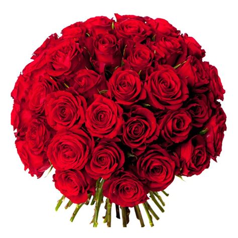Bouquet De 50 Roses Rouges Bouquet Livré En 24h