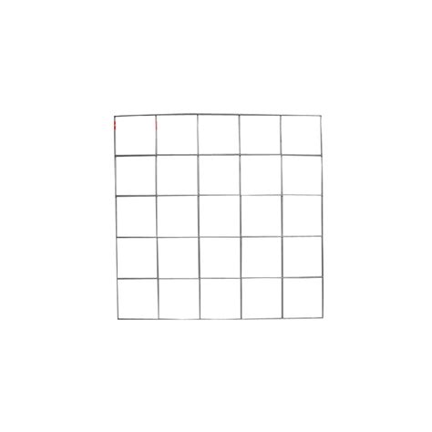 Quadrat Grid 50x50cm With 10cm Squares Delta Educational