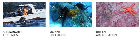 John Kerry Leads Bold Actions To Protect Our Ocean Surfrider Foundation