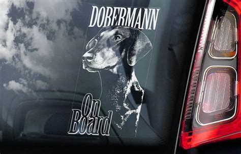 Dobermann On Board Car Window Sticker Doberman Pinscher K9 Etsy Uk Car Window Stickers