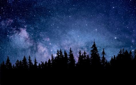 Night Wallpaper 4k Starry Sky Forest Silhouette