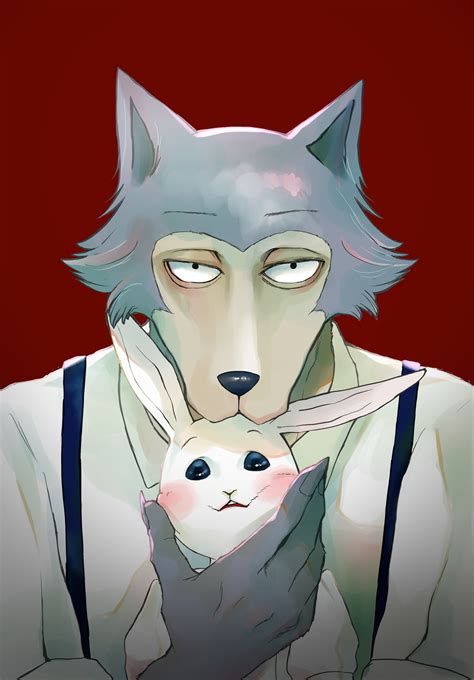 Beastars 1 Anime Couple Wallpaper Character Images And Photos Finder