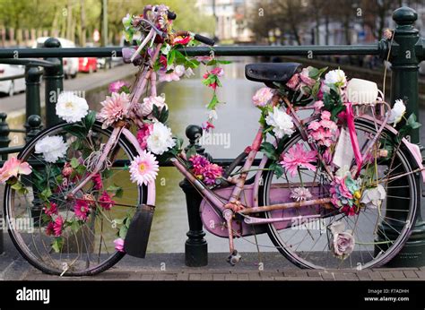 Classic Vintage Bike With Flower Parked In Amsterdam Stock Photo Alamy