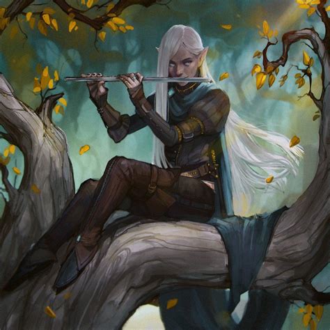 F Wood Elf Bard Deciduous Forest 111 By › Exellero