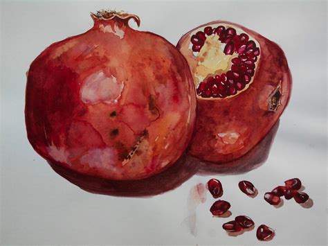 Pomegranate Watercolor By Selmay Selma Pomegranate Watercolor