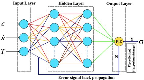 Back Propagation Artificial Neural Network Bp Ann Architecture For Download Scientific