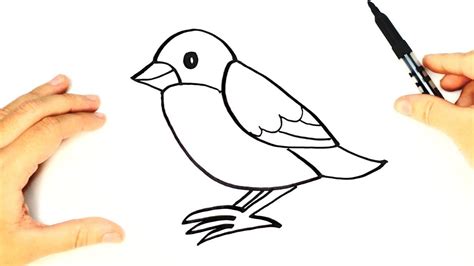 How To Draw A Bird Very Easy Step By Step Youtube