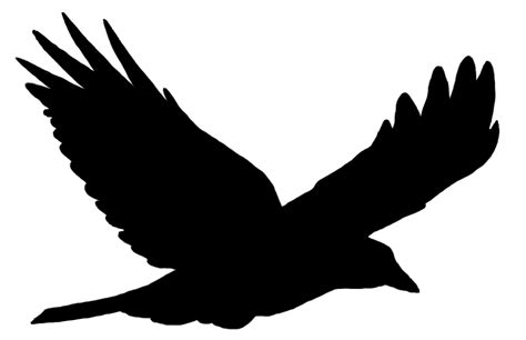 Free Crow In Flight Silhouette Download Free Crow In Flight Silhouette