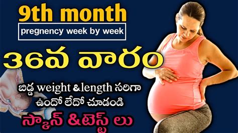 36 Weeks Of Pregnancy What To Expect 36 Weeks Pregnant Pregnancy
