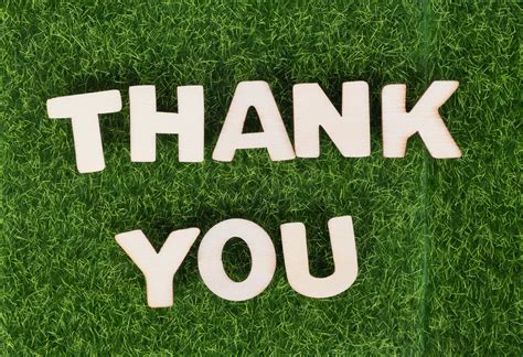 Text Thank You On Green Grass Background 🇩🇪professional Flickr