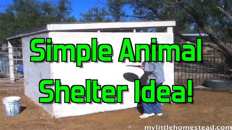 Simple Animal Shelter Idea Youtube