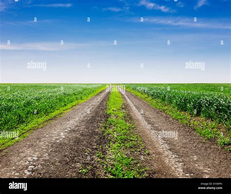 Country Road Through The Fields Stock Photo Alamy