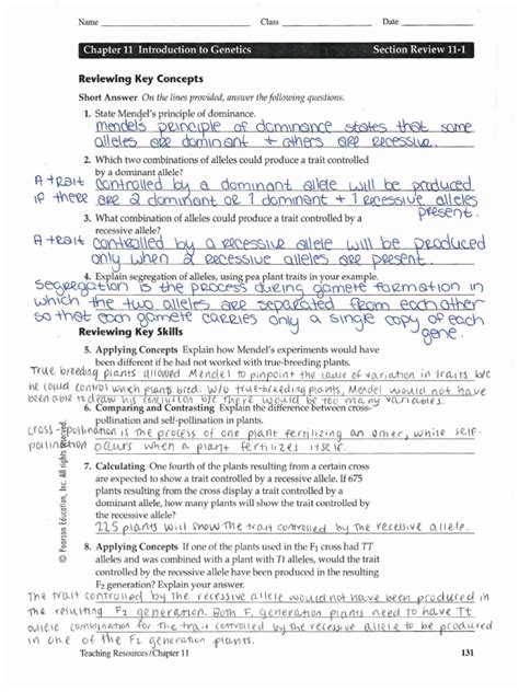 People normally have two copies of this chromosome. Chapter 14 The Human Genome Worksheet Answer Key | Kids Activities