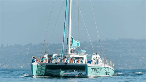 Private Charters - What you should know - Triton Charters