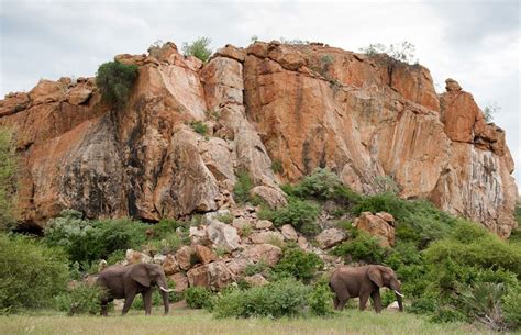 Mapungubwe National Park National Parks Africa South Africa