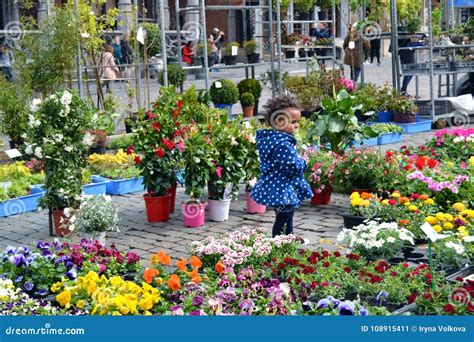 Kid Surrounded With Flowers On The Street Editorial Photo Image Of