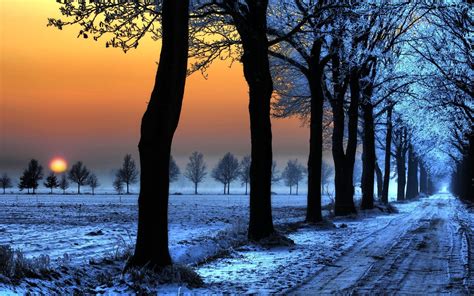 Snow Dirt Road Trees Sunset Wallpapers Hd Desktop And