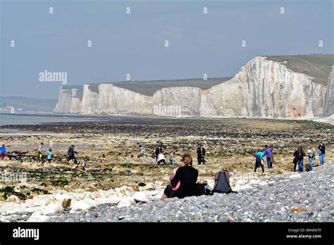 The Seven Sisters Chalk Cliffs On A Sunny Spring Day At Birling Gap In