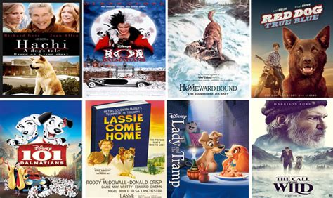 Movies For Dog Lovers Ultimate Guide Tasmania