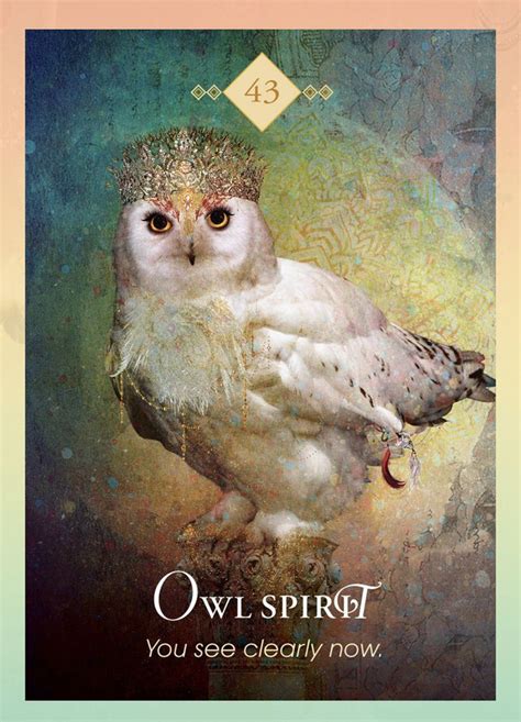 Owl Spirit Animal Owl Spirit Animal Spirit Animal Animal Totem