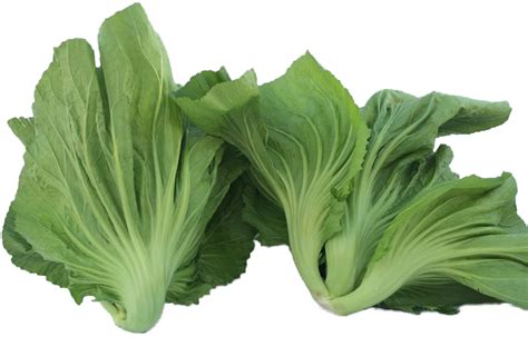 Bok Choy Cabbage Png Picture Png All