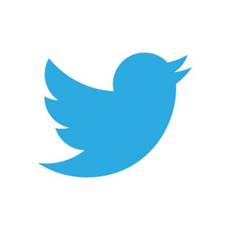 12 Twitter Bird Icon Transparent Images Twitter Bird Logo Transparent