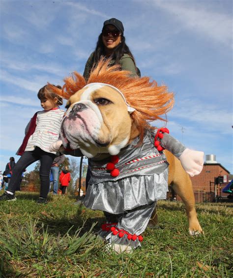 Barkfest Halloween Dog Costume Contest