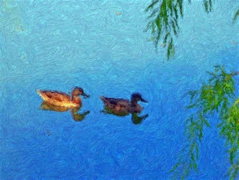Ducks In A Pond Painting Free Stock Photo Public Domain Pictures