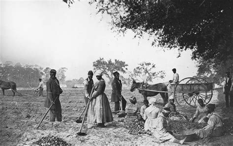 Why Plantation Slavery Was Important To The United States Economy