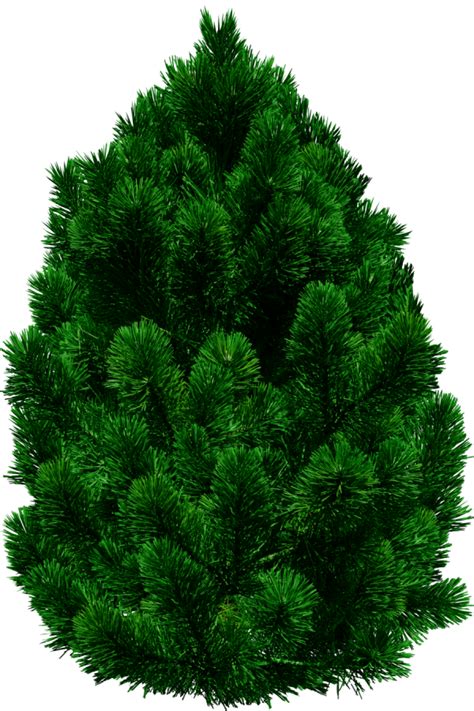 Discover and download free christmas tree png images on pngitem. Green Christmas Tree Png | PNG Images Download | Green ...