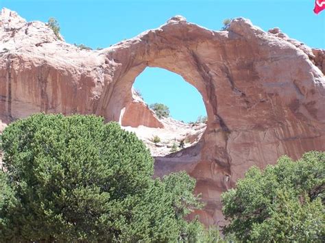 Navajo Reservation Window Rock Az Recenze