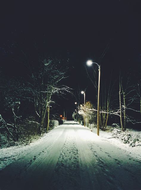 Free Images Tree Snow Winter Night Morning Atmosphere Weather