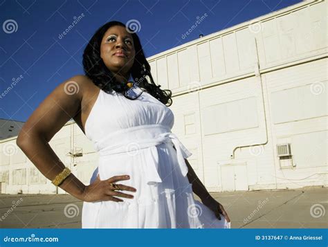 Afroamerikaner Frau Stockbild Bild Von Schauen Industriell 3137647